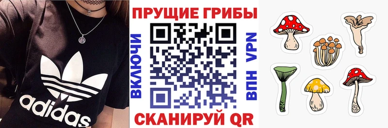 площадка клад  Луховицы  Галлюциногенные грибы мухоморы 
